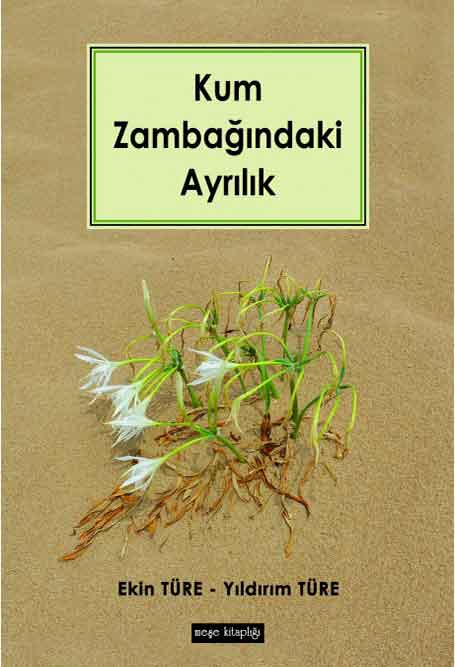 19_Kum_Zambagindaki_Ayrilik Kum Zambağındaki Ayrılık - Görsel 1