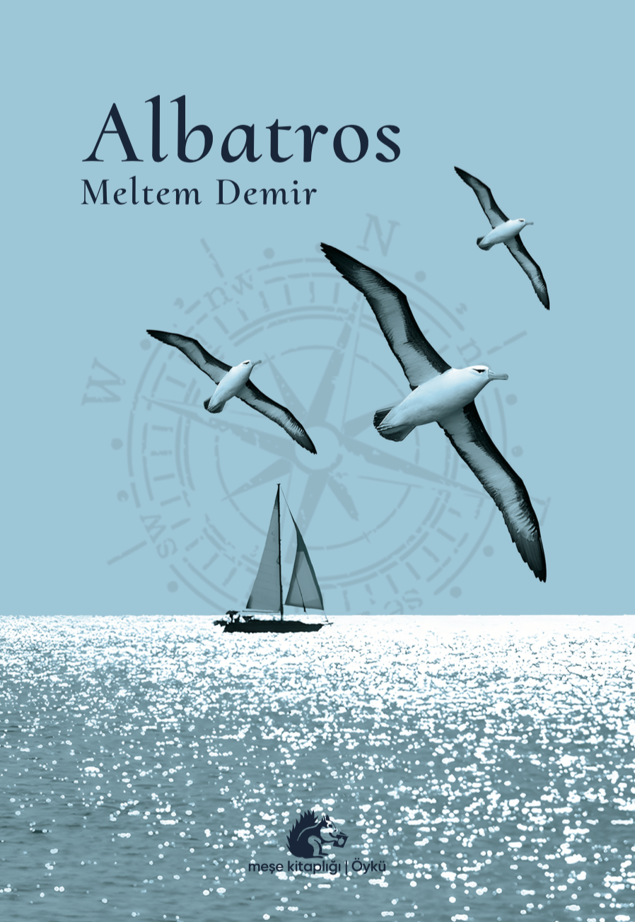Ekran Resmi 2024-03-12 18.39.04 ALBATROS - Görsel 1