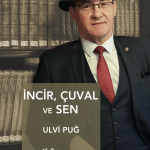 İncir, Çuval ve Sen