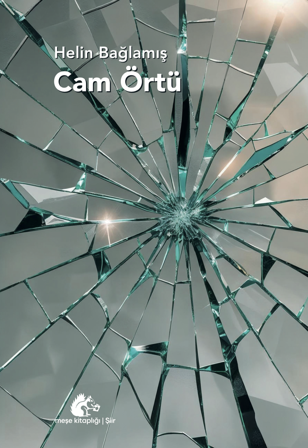 Ekran Resmi 2025-07-12 09.00.06 CAM ÖRTÜ - Görsel 1